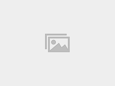 Gestión del colaborador / administrativo